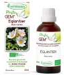 Santé Phytofrance Gemmo Eglantier 40ml