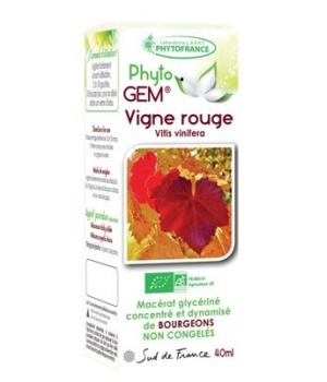 Phytofrance Gemmo Vigne rouge 40ml