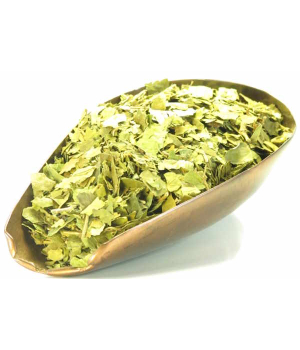 Herboristerie De Paris Gymnema Sylvestre feuille tisane 100gr