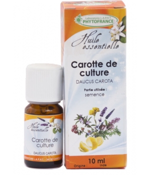 Phytofrance Huile essentielle de Carotte fruit 10 ml Phytofrance