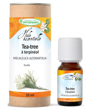 Phytofrance Huile essentielle de Tea Tree arbre à thé bio 10ml