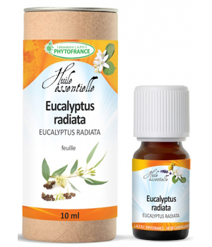 Phytofrance Huile essentielle Eucalyptus Radiata Bio 10 ml Phytofrance