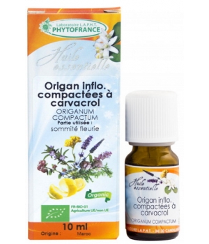 Phytofrance Huile essentielle Origan à inflorescences compactes 10ml