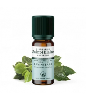 Distillerie Saint Hilaire Huile essentielle Ravintsara bio 10ml