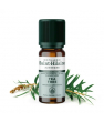 Aromathérapie Bio Distillerie Saint Hilaire Huile essentielle Tea Tree bio 10ml