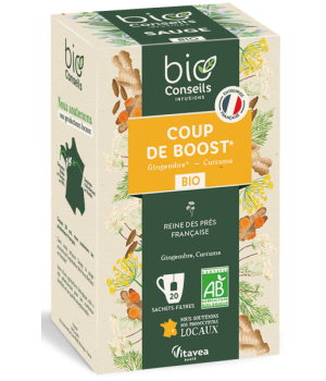 Bio Conseils Infusion Coup de Boost 20 sachets 18.2g