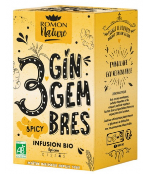 Romon Nature Infusion plaisir 3 Gingembres bio 16 sachets