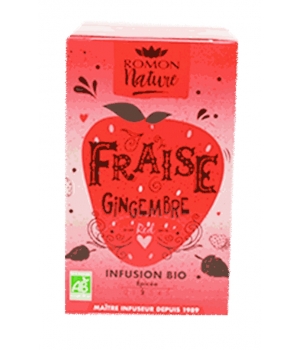 Romon Nature Infusion plaisir Fraise Gingembre bio