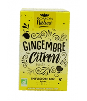 Romon Nature Infusion plaisir Gingembre Citron bio