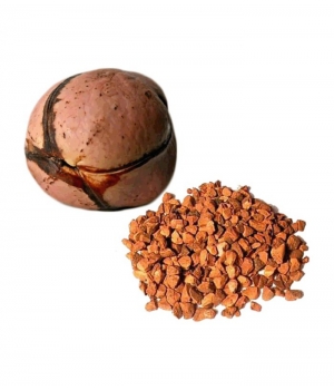 Herboristerie De Paris Kolatier Graine Dite Noix de Kola tisane 100gr
