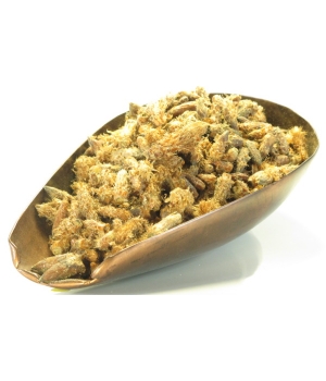 Herboristerie De Paris Pin Sylvestre Bourgeon 100gr