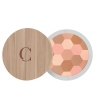Maquillage bio Couleur Caramel Poudre mosaique n°232 teint clair