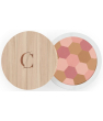 Maquillage bio Couleur Caramel Poudre mosaique n°230