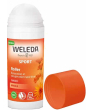 Cosmétique Bio Weleda Roller Sport arnica 50ml