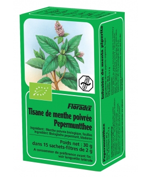 Salus Tisane Bio menthe poivrée   15 sachets