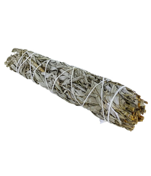 Herboristerie De Paris Sauge blanche de Californie à brûler 23 cm XL 70gr