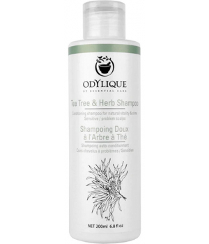 Odylique Shampoing Doux à l'Arbre à Thé 200ml