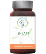 Produits bio santé, bien être Planticinal Shilajit 60 gélules