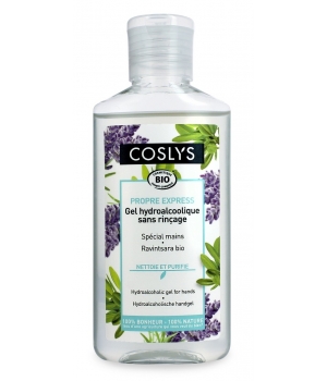 Acheter Assanis Family Gel Antibacterien Sans Rincage 500ml Prix Bas