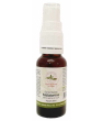 Produits bio santé, bien être Herboristerie De Paris Spray Buccal Mélatonine arôme Pêche de Vigne 20ml