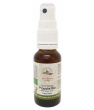 Produits bio santé, bien être Herboristerie De Paris Spray Buccal Propolis bio Miel Sauge Thym 20ml