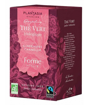 Plant Asia Thé vert Forme Gingembre Cannelle 18 sachets 32.4g