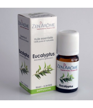 Zen Arome Huile essentielle d'Eucalyptus 10ml
