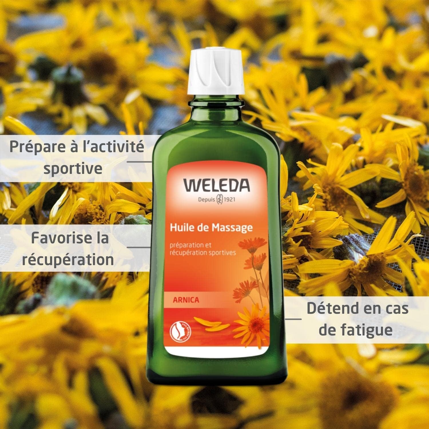 Huile végétale d'Arnica Bio 50 ml - Mességué