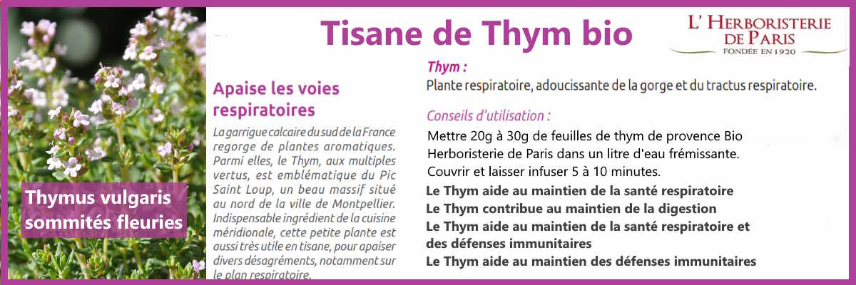 la tisane de thym bio 50gr aide au maintien de la santé respiratoire