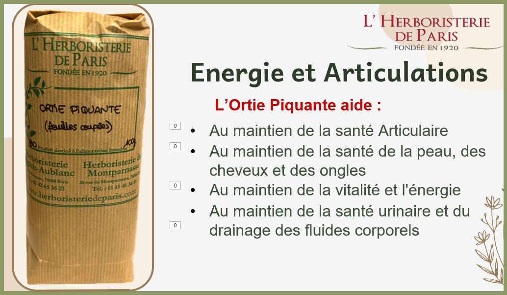 La Tisane d'ortie piquante 50gr aide au maintien des fonctions d'élimination et apporte un effet drainant