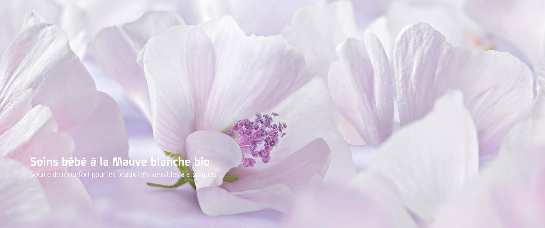 le-lait-corporel-bebe-a-la-mauve-blanche-weleda-apporte-reconfort-douceur-aux-peaux-sensibles-et-atopiques